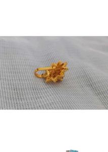Exquisite Golden Nose Pin