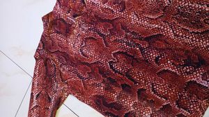 Stylish Snake Print Top