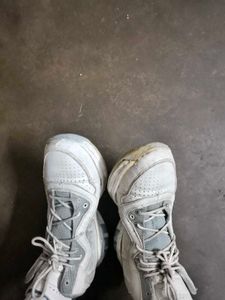 adidas white basketball shoe