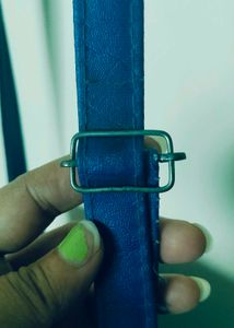 Blue Sling bag