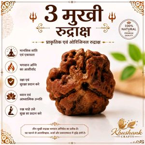 3 मुखी रुद्राक्ष | प्राकृतिक एवं ओरिजिनल तीन मुखी