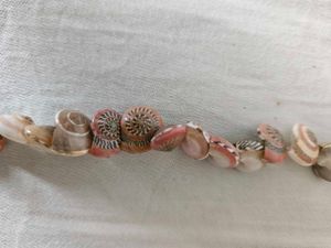 Unique Seashell Necklace