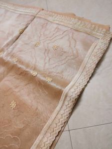 Elegant Peach Organza Dupatta