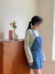 Denim Overall Dress
