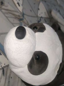 Cute Panda Plush Toy