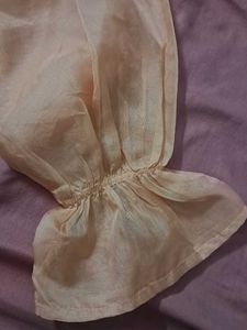 Peach Sheer Sleeve Top