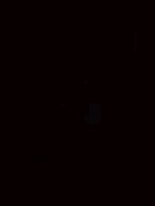 Test T4