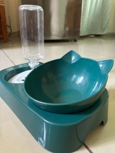 Cat Food &amp; Water Dish