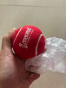 Red Cockatoo cricket/ Tennis Ball