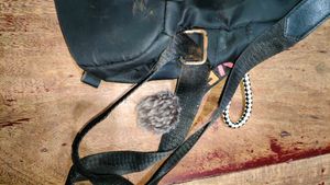 Stylish Black Backpack