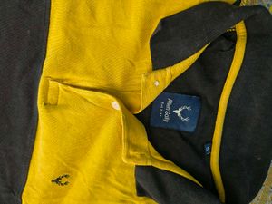 Allen Solly Polo T-Shirt