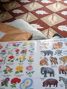English Alphabet Book for Kids