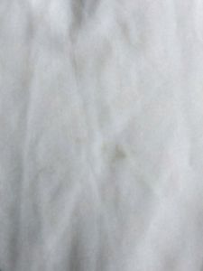 Yoga Top With Pant