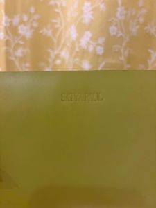 Satya Paul Clutch