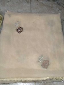 Elegant Dupatta Set of 2