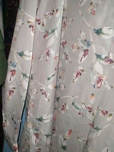 Women  Shirt