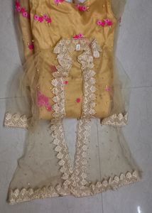 Beautiful Net Gown With Coaty