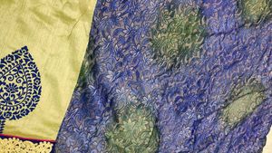 Elegant Mint Green Saree(bilkul new)