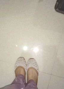 Embellished Juttis/Mojaris