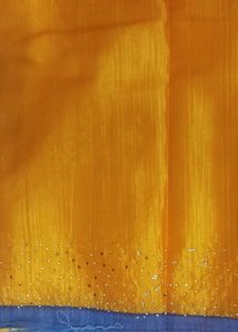 Elegant Orange Saree with Embellishments