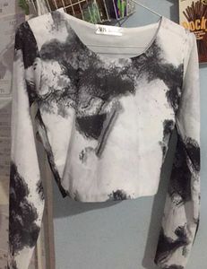 ZARA Mesh full sleeve crop top