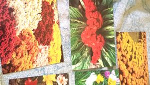 Vintage Floral new year greeting cards in hindi