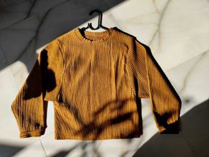 SHEIN Brown Corduroy Sweater / Pullover