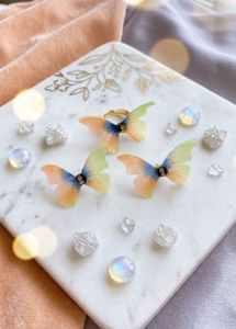 New Combo Of Butterfly Earrings And Ring