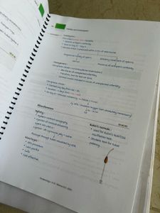 MARROW Edition 8 OBGYN notes COMBO.