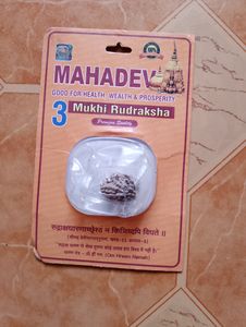 Rudraksha 3 Mukhi Original Lab Taste