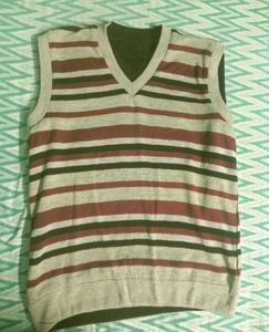 Men's V-Neck Sleeveless Sweater Vest