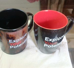 Brand New Milk/Coffee Mugs Bone China With Box
