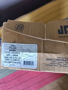 Brand New Safety Shoes