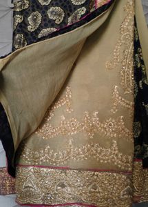Designer Paisley Print Saree with Gold Border