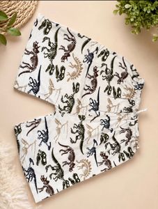 Fun Dinosaur Print Boxer Shorts