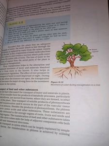 Class X CBSE, Science Book