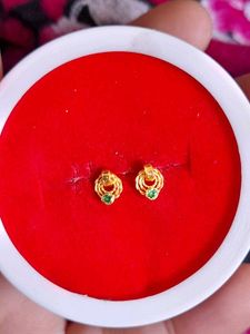 Beautiful New Ring Type Earrings Small
