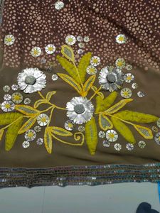 beautiful brown saree