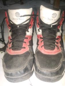 Orginal Bacca Bucci Stylish Shoes