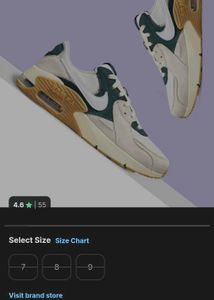 Nike Air Max Sneakers