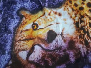 Cheetah Print T-Shirt