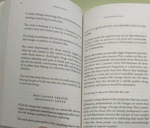 The Mountain Is You Book