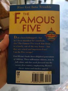 The Famous Five: Five Get Into Trouble