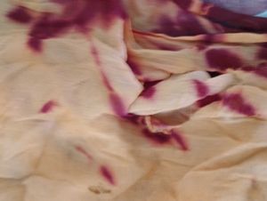 Elegant Ombre Dupatta