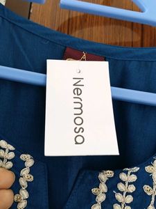 Elegant Blue Embroidered Kurta Set