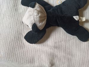 Black And White Panda Teddy 🐻‍❄️🐻‍❄️🐻‍❄️