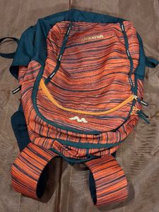 Wildcraft Bag