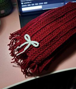 Mikasa Red Crochet Scarf