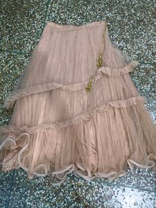 Elegant Lehenga Choli Set