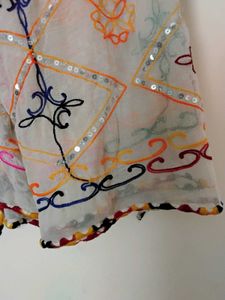 Embellished Dupatta with Sequins